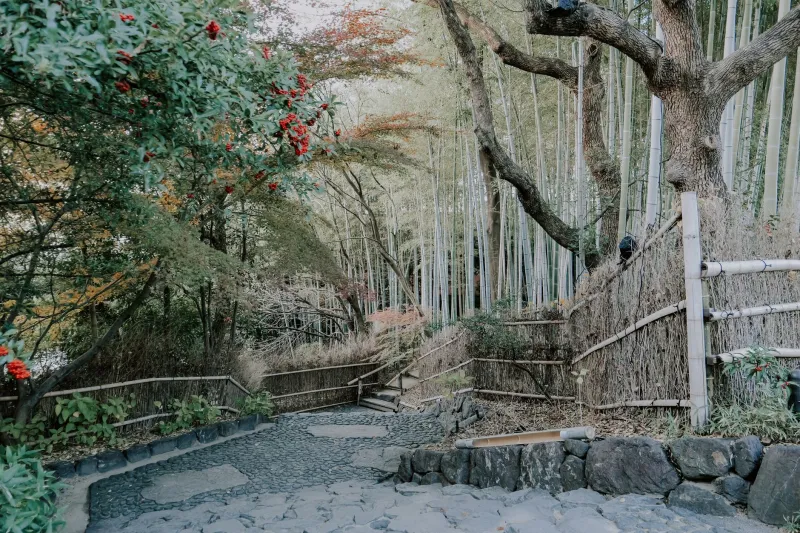 Born Second, Living First: What Japan's Jiro Tradition Reveals About the Tyranny of Prescribed Success