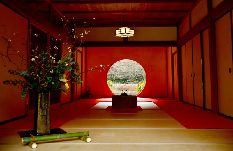 Stillness in the Stem: How Ikebana Is Quietly Reshaping American Wellness Culture
