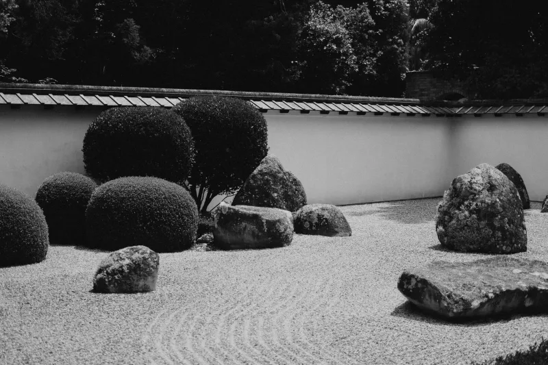Gardens That See You Back: How Japanese Spatial Design Is Rewiring American Perception