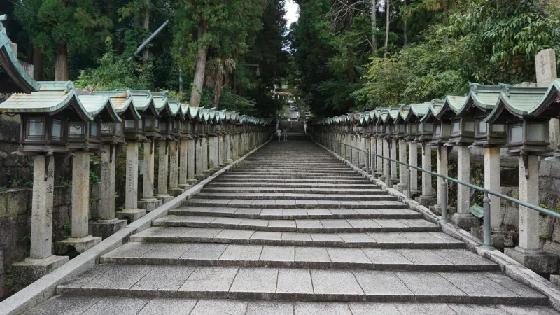 Walking Toward Wholeness: How Ancient Japanese Pilgrimage Routes Are Calling Burned-Out Americans Home to Themselves
